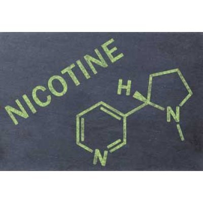 Премиум Никотин BGR Mild Индия